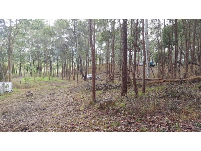 Lot 166 Woods Road, Dows Creek QLD 4754