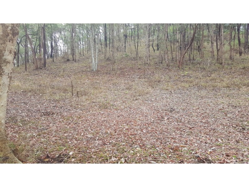 Lot 166 Woods Road, Dows Creek QLD 4754
