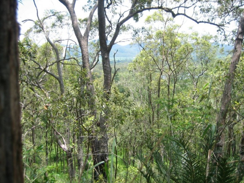 Lot 166 Woods Road, Dows Creek QLD 4754