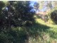 1 Kingfisher Street, Slade Point QLD 4740
