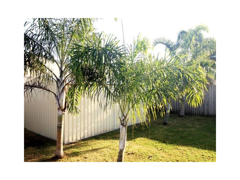 15 Nautilus Parade, Bucasia QLD 4750