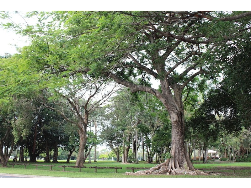 1/10 East Gordon Street, East Mackay QLD 4740