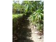 62 Bourke Street, Blacks Beach QLD 4740