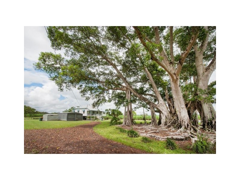 418 Lucas Paddock Road, Pinnacle QLD 4741