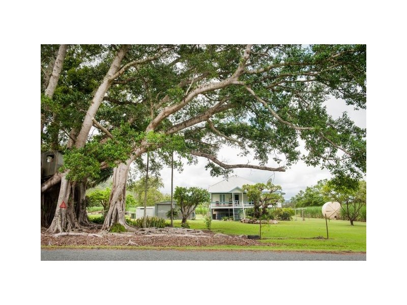 418 Lucas Paddock Road, Pinnacle QLD 4741