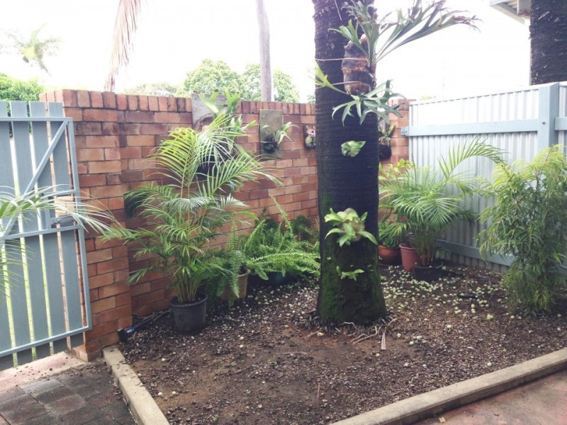 9/331 Shakespeare Street, Mackay QLD 4740