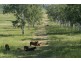 “Kingsborough” Victoria Plains, Victoria Plains QLD 4751