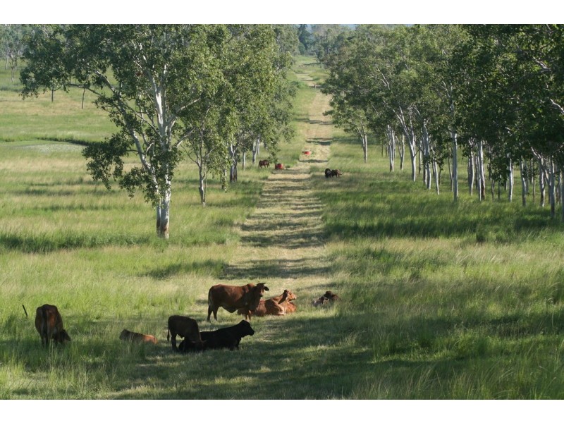 “Kingsborough” Victoria Plains, Victoria Plains QLD 4751