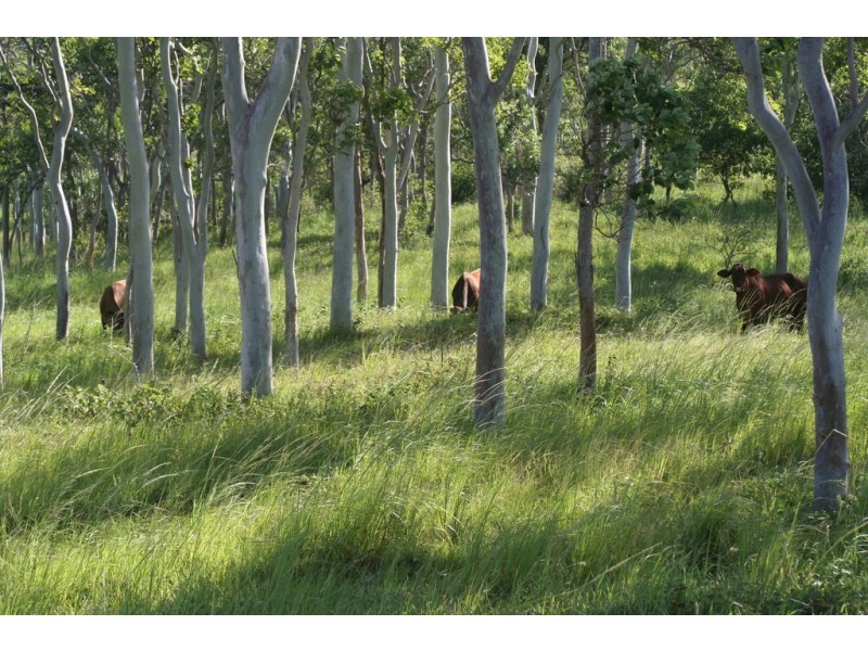 “Kingsborough” Victoria Plains, Victoria Plains QLD 4751