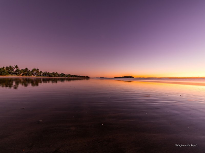 24 Frangipanni Avenue, Seaforth QLD 4741