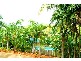 13 Ian Wood Drive, Dolphin Heads QLD 4740