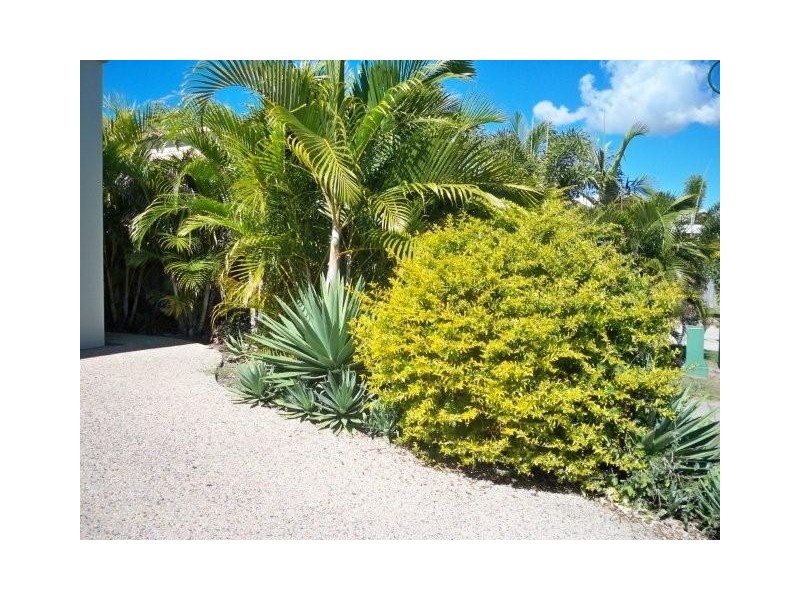 18 Sunseeker Crt, Blacks Beach QLD 4740