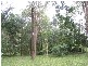 106  Yakapari-Habana Road, The Leap QLD 4740