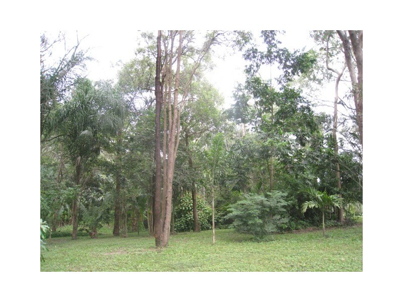 106  Yakapari-Habana Road, The Leap QLD 4740