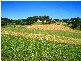 1 Rural View Drive, Rural View QLD 4740