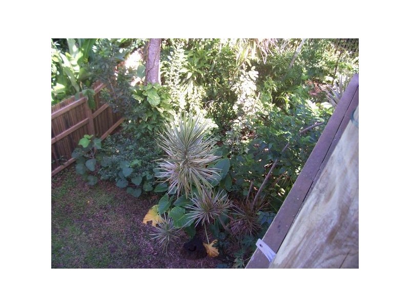 17 Mowlam Street, Eimeo QLD 4740