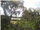 17 Mowlam Street, Eimeo QLD 4740