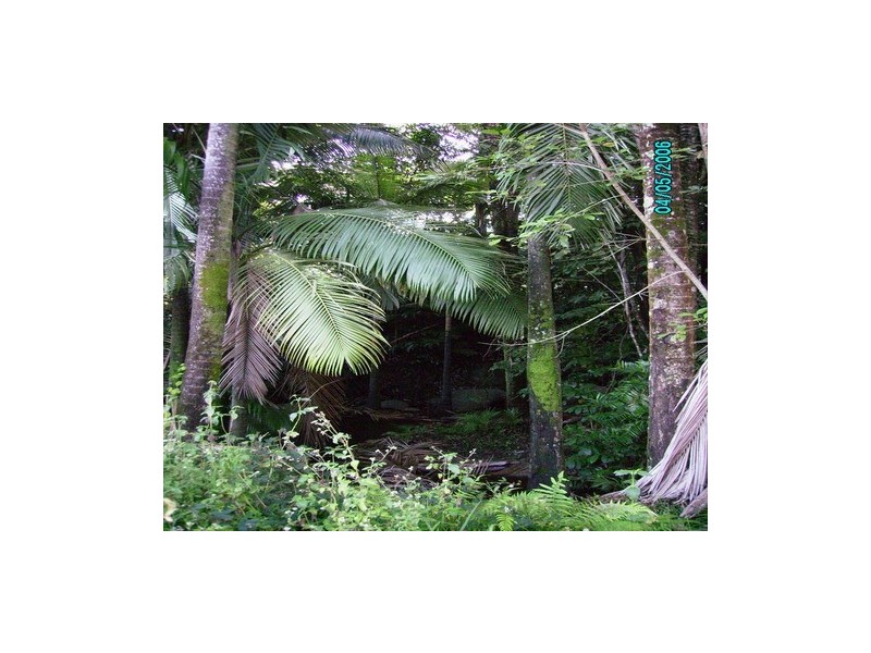 500 Gorge Road, Finch Hatton QLD 4756