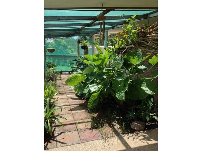 918 Grasstree Beach Road, Grasstree Beach QLD 4740