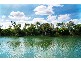 838 Mackay Eungella Road, Pleystowe QLD 4741