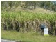Gargett QLD 4741