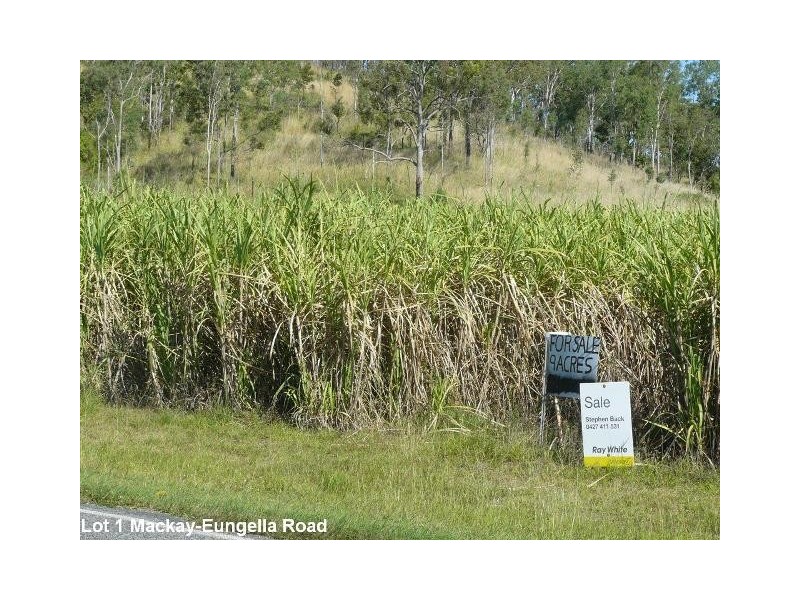 Gargett QLD 4741