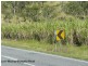Gargett QLD 4741