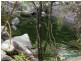 Lot 1 Gorge Road, Finch Hatton QLD 4756
