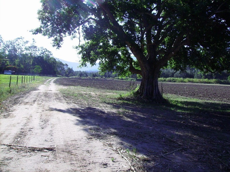 Lot 3 Okuloo Road, Finch Hatton QLD 4756