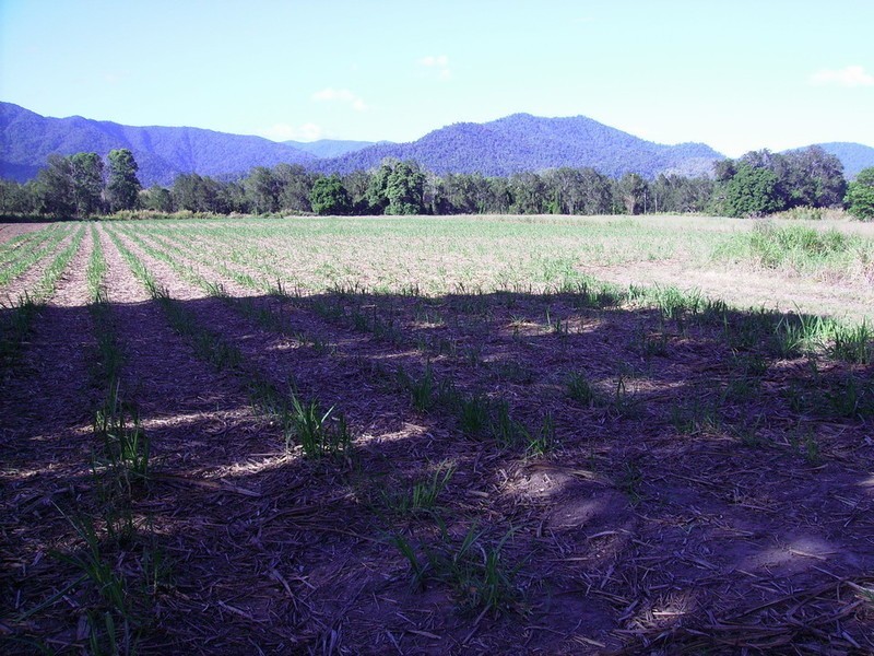 Lot 3 Okuloo Road, Finch Hatton QLD 4756