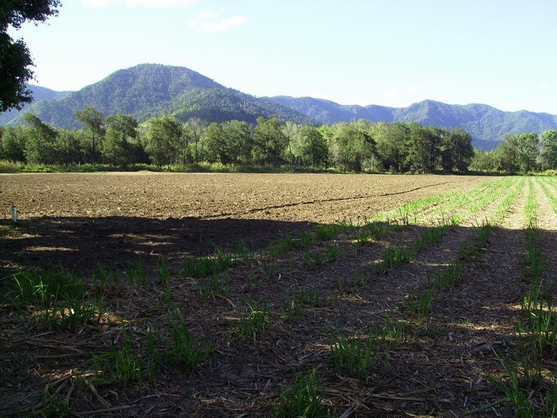 Lot 3 Okuloo Road, Finch Hatton QLD 4756