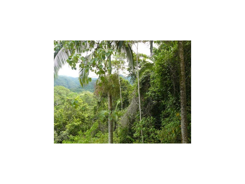 Lot 10 Boulder Road, Finch Hatton QLD 4756