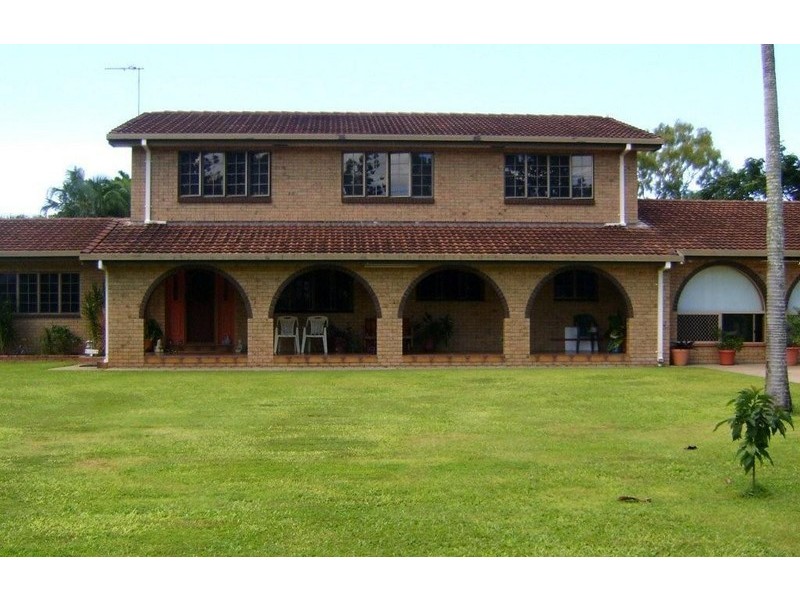 31 cabbage tree, Andergrove QLD 4740