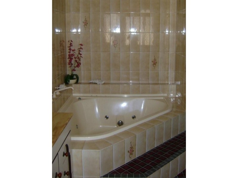 31 cabbage tree, Andergrove QLD 4740