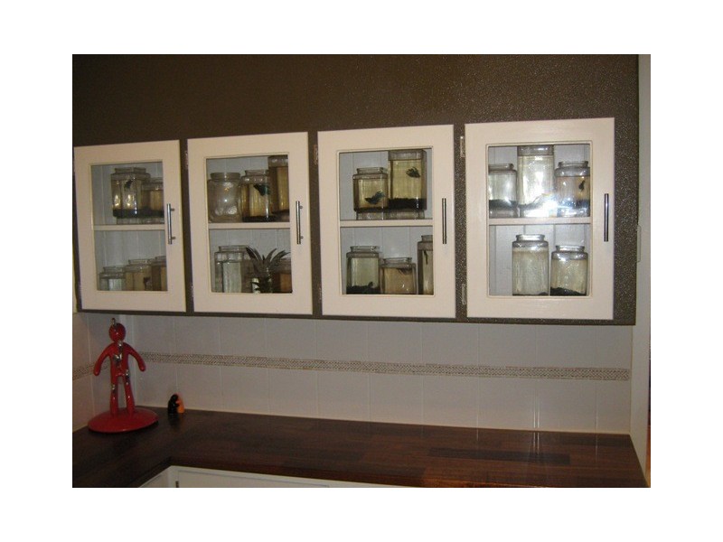 72 Evans Avenue, North Mackay QLD 4740