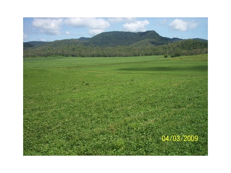 234 Rogers Road, Mount Charlton QLD 4741