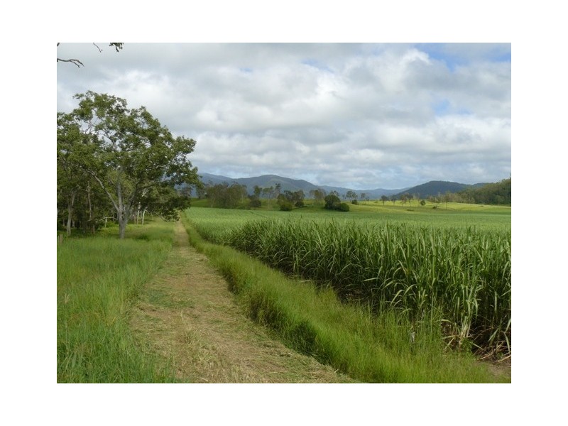 234 Rogers Road, Mount Charlton QLD 4741