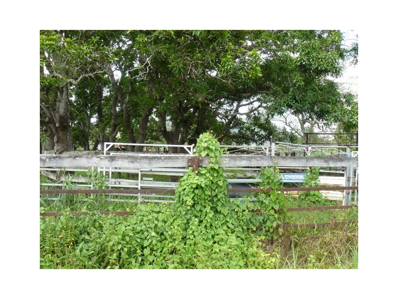 234 Rogers Road, Mount Charlton QLD 4741