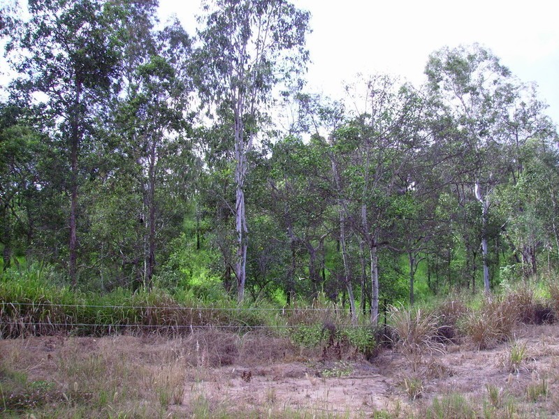 Lot 1 Okuloo Road, Netherdale QLD 4756