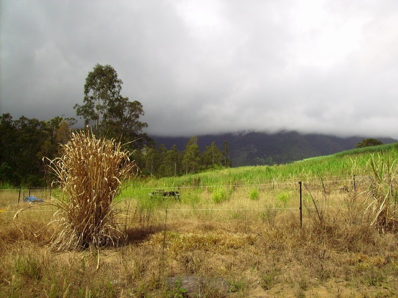 Lot 1 Okuloo Road, Netherdale QLD 4756