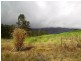 Lot 1 Okuloo Road, Netherdale QLD 4756