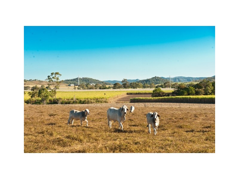 8 McKnight Road, Hay Point QLD 4740