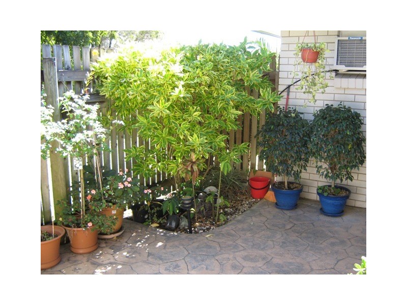 25 Cheribon Avenue, Mount Pleasant QLD 4740