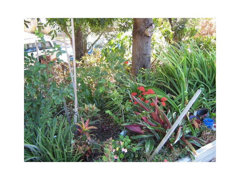 25 Cheribon Avenue, Mount Pleasant QLD 4740