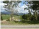 508 Owens Creek Loop Road, Gargett QLD 4741