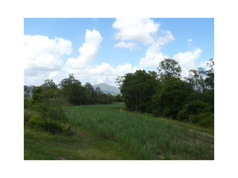 508 Owens Creek Loop Road, Gargett QLD 4741