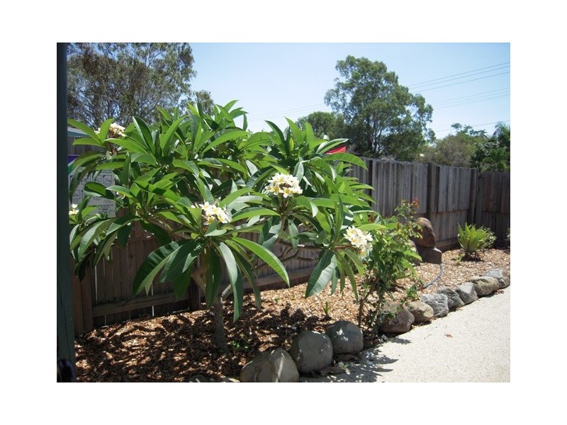 83 Maple Drive, Andergrove QLD 4740