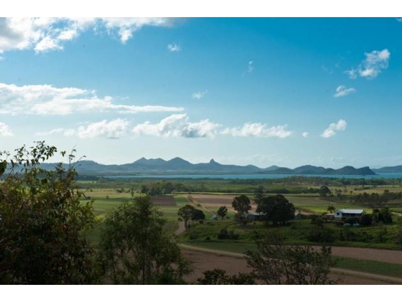 159 Olletts Road, Habana QLD 4740