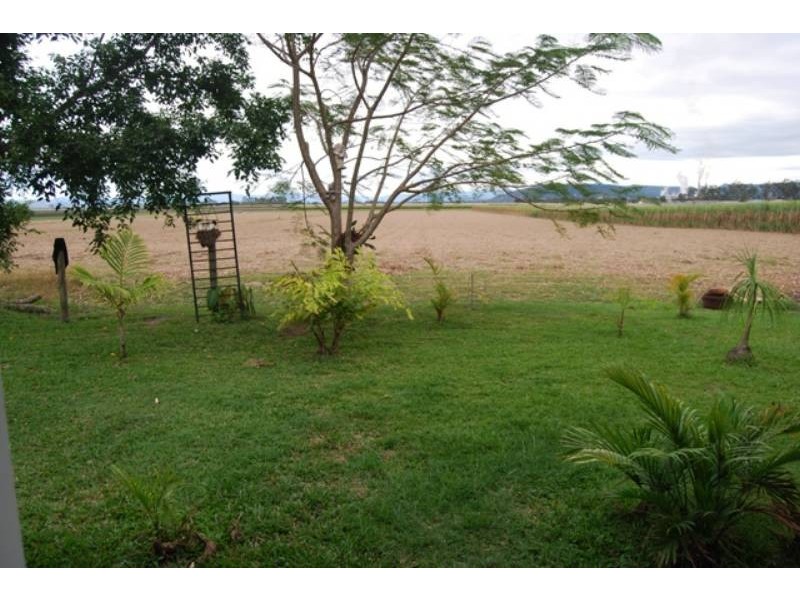 19 Ridgeway Crt, Marian QLD 4753