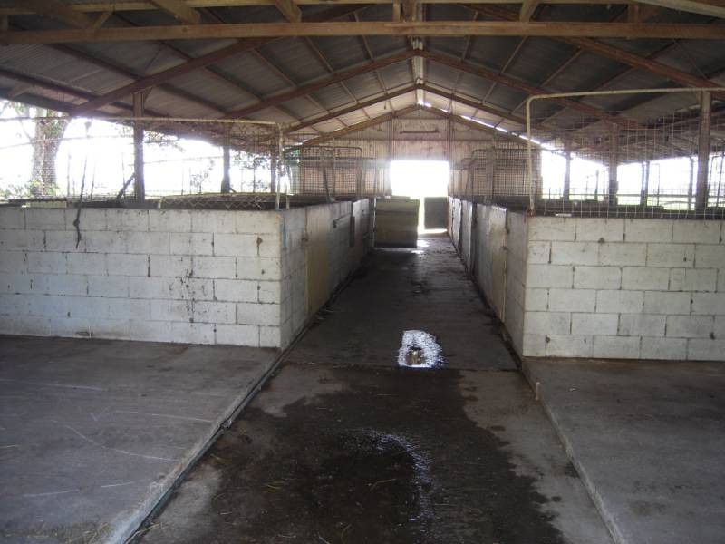 27 Bernborough Avenue, Ooralea QLD 4740